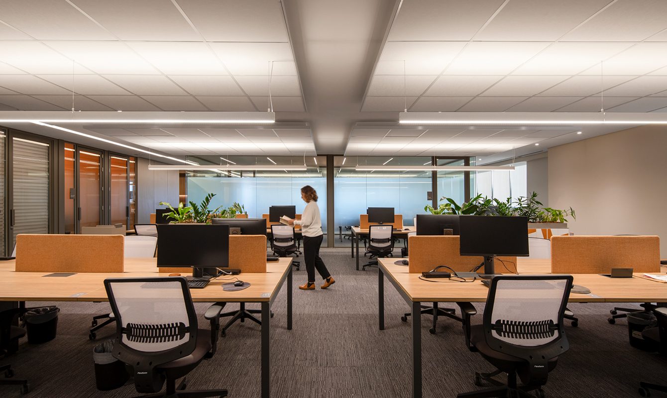 ESCRITÓRIO DE ADVOCACIA I - gingaa