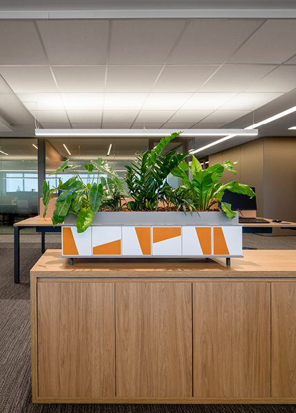 ESCRITÓRIO DE ADVOCACIA I - gingaa